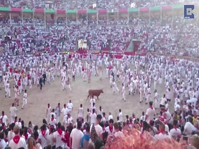 Man Gets Brutally Mauled during Running of the Bulls