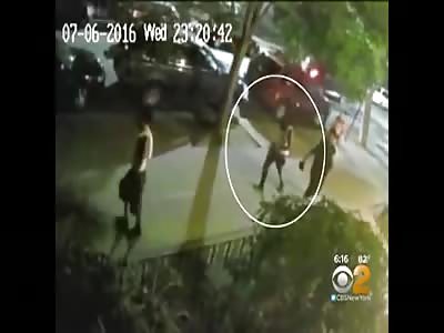 65-Year-Old Man Sucker Punched in Brooklyn by Young Thugs