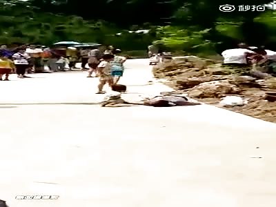 Sad video of family of tourists died electrocuted in Zoo pool 