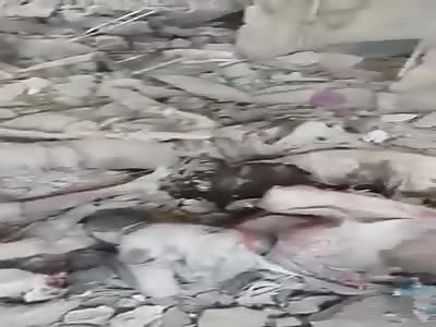 many bodies under the feet of the Iraqi army in Anbar