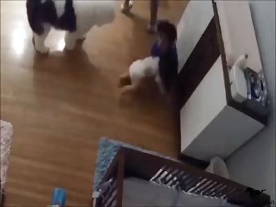 Boy Catches Baby Brother After He Falls Off Changing Table