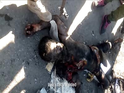  ISIS Group Killed By PMU