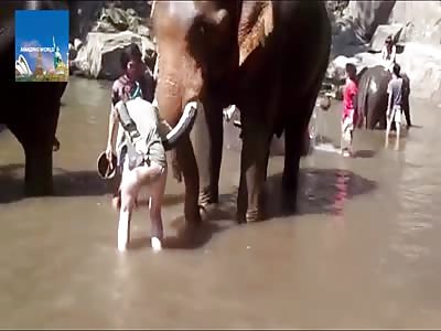 Never piss off an elephant