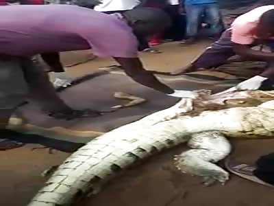 remains of an eight-year-old boy found in giant crocodile in Zimbabwe