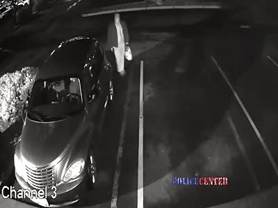Police Release Footage of Senior Citizen Carjacking Fail