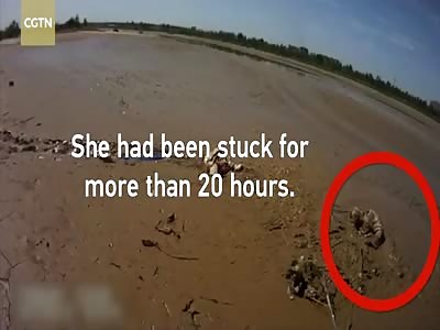 80-year-old woman stuck in mud for more than 20 hours finally rescued