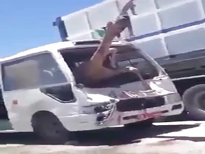 Camel ends up dead inside a bus after bizarre crash in Saudi