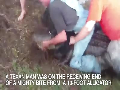 Man bitten by 10 foot alligator