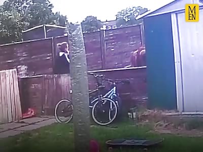 Scary Moment Girl Realises That Cow In Her Back Yard Is A Raging Bull