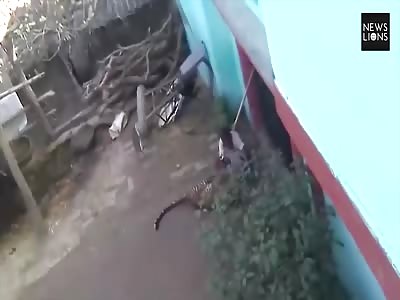 The moment 60-year-old fights off furious LEOPARD