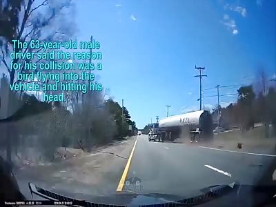 Dashcam video shows truck crashing into power line in Massachusetts