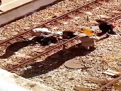 collecting pieces of suicidal man in train line