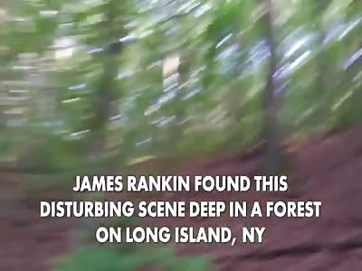 man hiking in the woods came across what looked scene of horror film