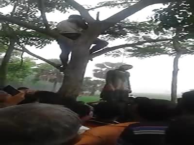 cutting off couple making suicide from tree