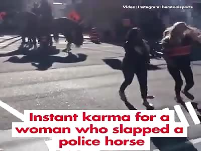 Woman slapping a police horse gets some instant karma