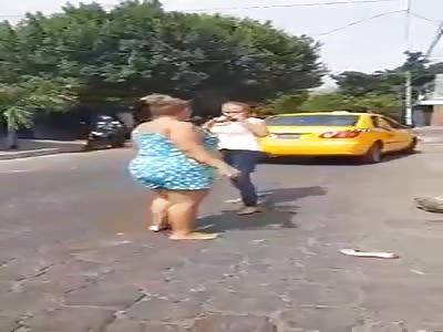 The attack of the fat ass bitch