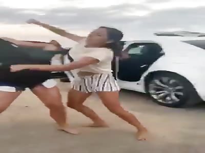 Girls fighting on the bitch 