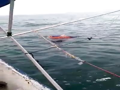 Sailors Saving woman after her boat was sunk.