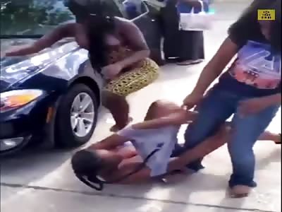 Crazy black bitches fight