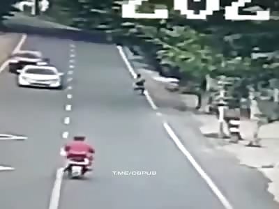 Big tree fall on Chinese motorcyclist 