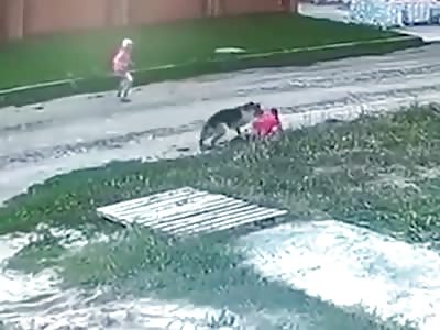A German shepherd dog attack two kids 
