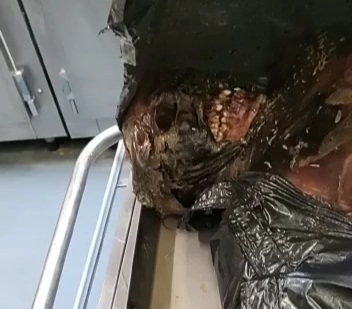 Petrified body of Russian man filmed in morgue 
