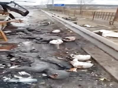 Dead shattered bodies all over the road after horrific car crash 