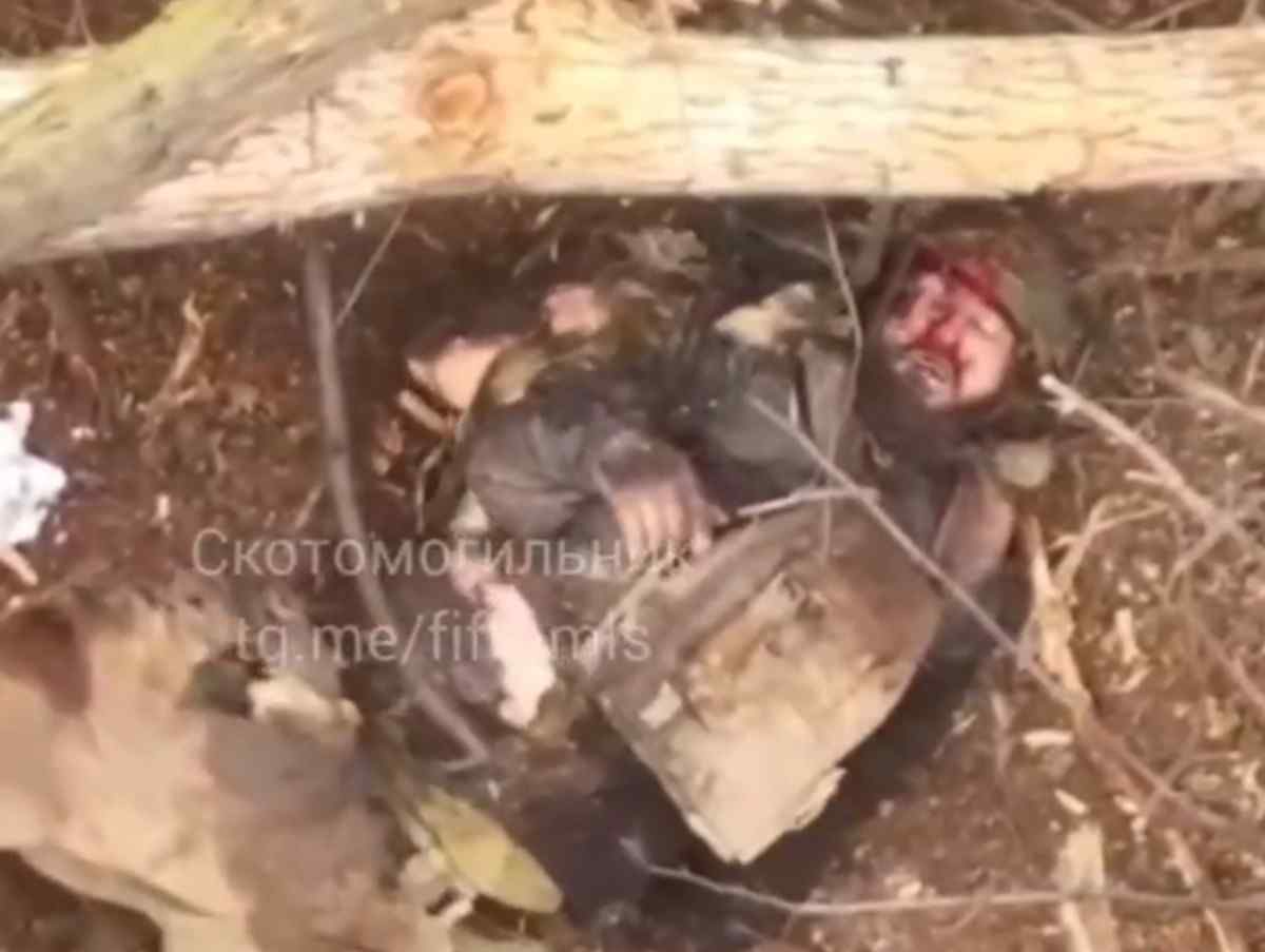 Ukrainian receives explosive acorn.