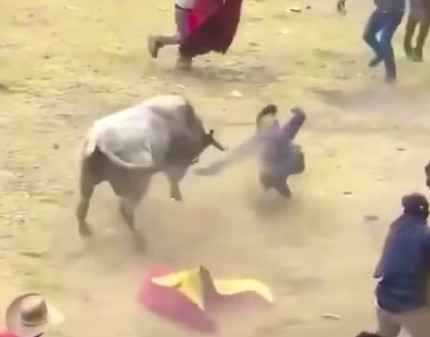 Mister fucked being fucked by angry bull 2