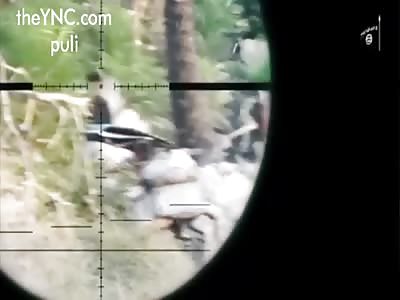 GREAT Compiled of executions by Sniper ISIS