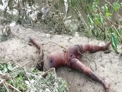 The body of a man was found inside the Rio CamaÃ§ari (brazil)