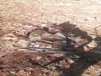 The bodies of dead mercenaries of the Assad regime on the Um Valad road on Dara Avenue.