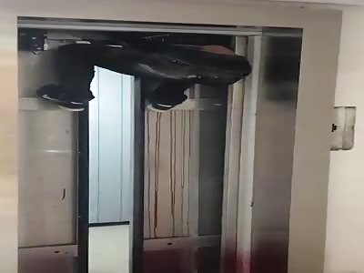 Unfortunate Elevator Accident