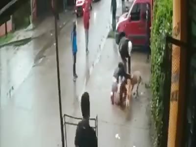 Brutal Attack by a Pitbull on a Little Girl in San Miguel Argentina