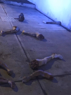 A normal day in Mexico... Quartered bodies. 
