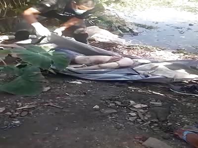 They find a murdered man in the river in a state of putrefaction Brazi