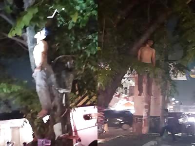 man commits suicide by hanging himself from a tree 