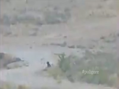 A member of the Taliban was shot dead by a sniper