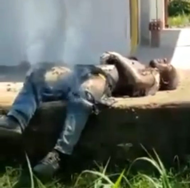 Brazilian Worker Gets Electrocuted To Death