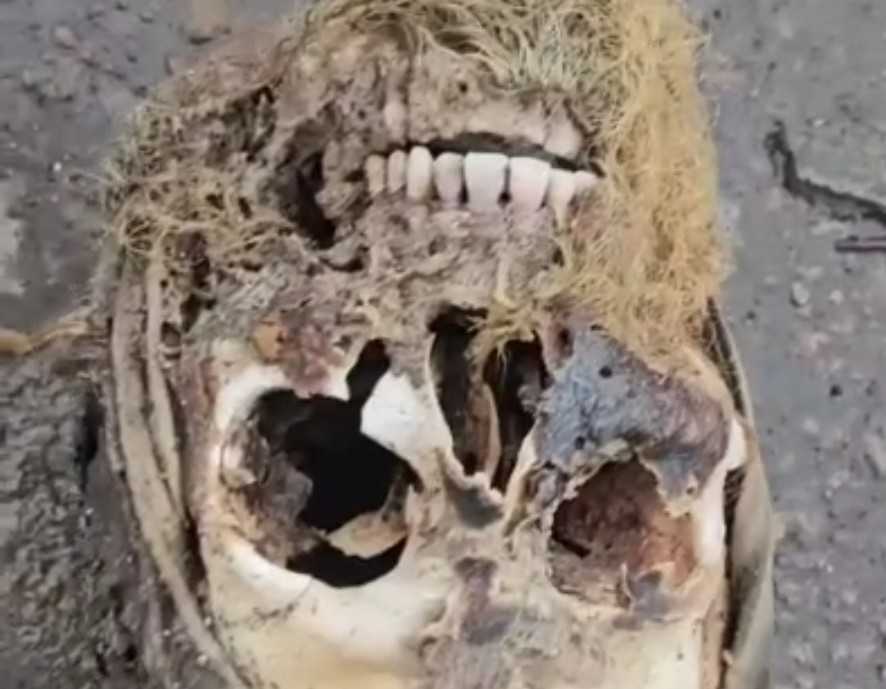 Decapitated Ukrainian hero.