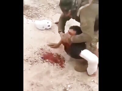 Brutal Violence And Death (Compilation)