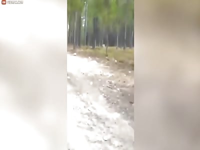 WTF !!! RETARD REDNECK LETS HIS DOG GET ATTACKED BY A HUGE WOLF