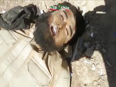 Daily dead ISIS members