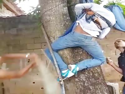 Thief Gets Tied To A Tree And Spanked 