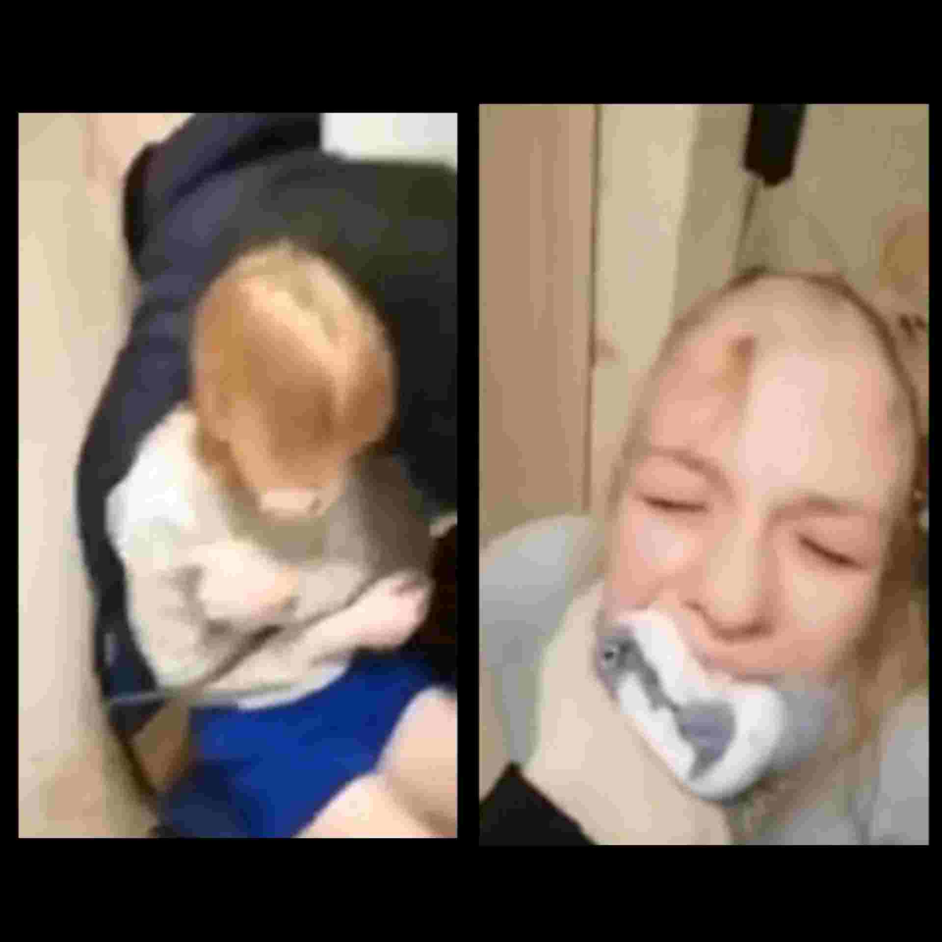 Pretty White Russian Girl Gets Home Invaded/ Tied Up And Head Shaved