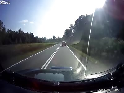 Deer causes an accident in Poland
