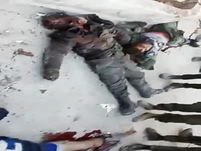 Mercenaries killed in Aleppo