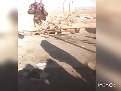 Daesh wrecked in Baghdad displayed