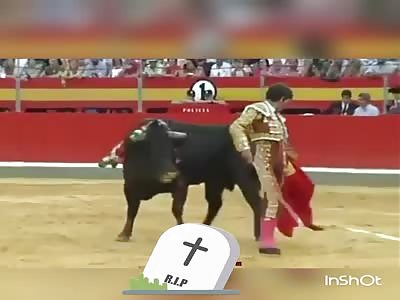Bullfighter takes the buried violently in the anus in his rear
