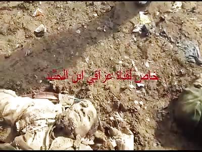 Daesh terrorists killed in mosul